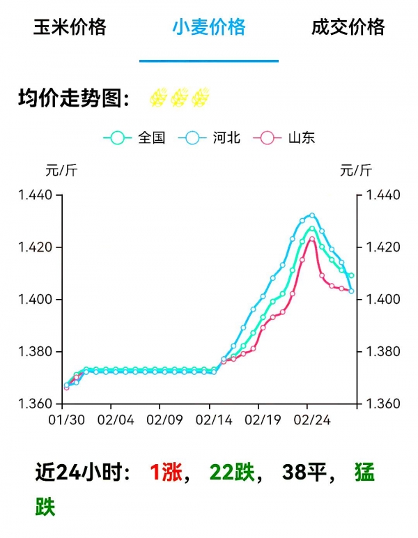 今日小麦市价动态速递