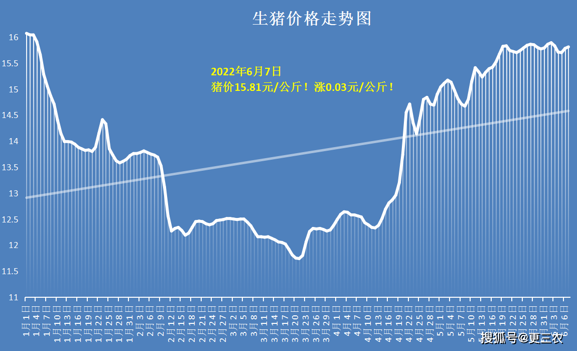 猪价节节攀升，最新行情喜讯连连！