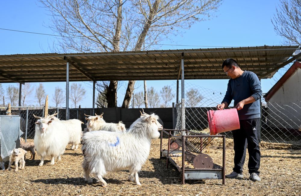 养殖之家温馨动态，美好新篇精彩呈现