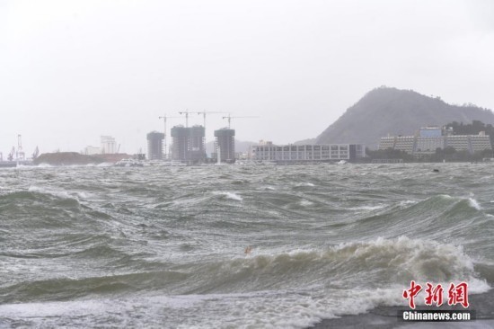 天鸽台风温情护航，广东共筑平安家园